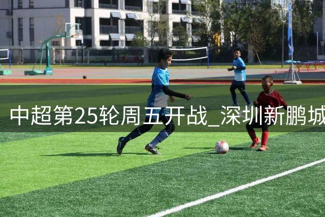 中超第25轮周五开战 深圳新鹏城与上海海港狭路相逢